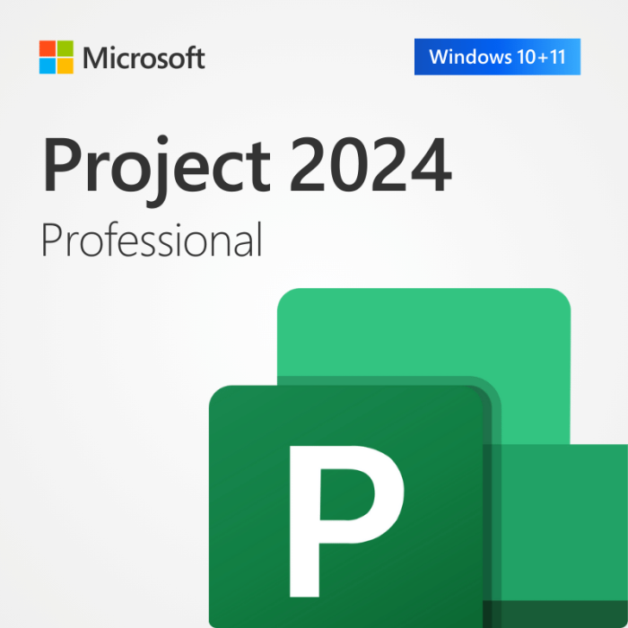 Installer MS Project Professional 2024