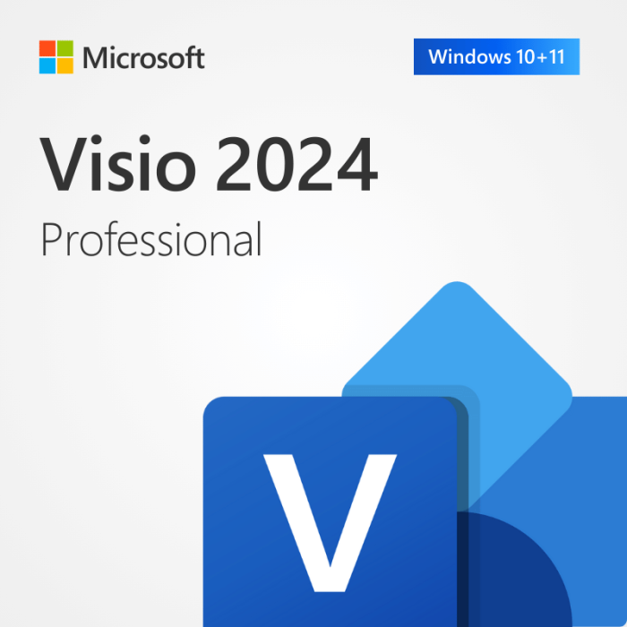 Installer MS Visio Professional 2024